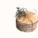 Tree slices,Rustic Wedding, rustic decorations, wood slices, wood rounds, tree disc, tree bark, natural, trees, rustic favors