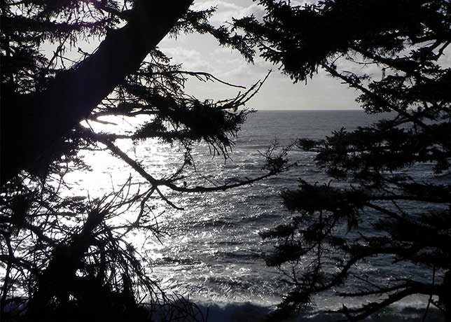 Beautiful Ocean View, Nature Photography, Oregon Coast, Scenic Home Decor, 5 x 7 Fine Art Photograph