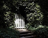 Secret Door, Hedge, Secret Door, White Picket Door, Bushes, The Secret Door, 4 x 6 Fine Art Print