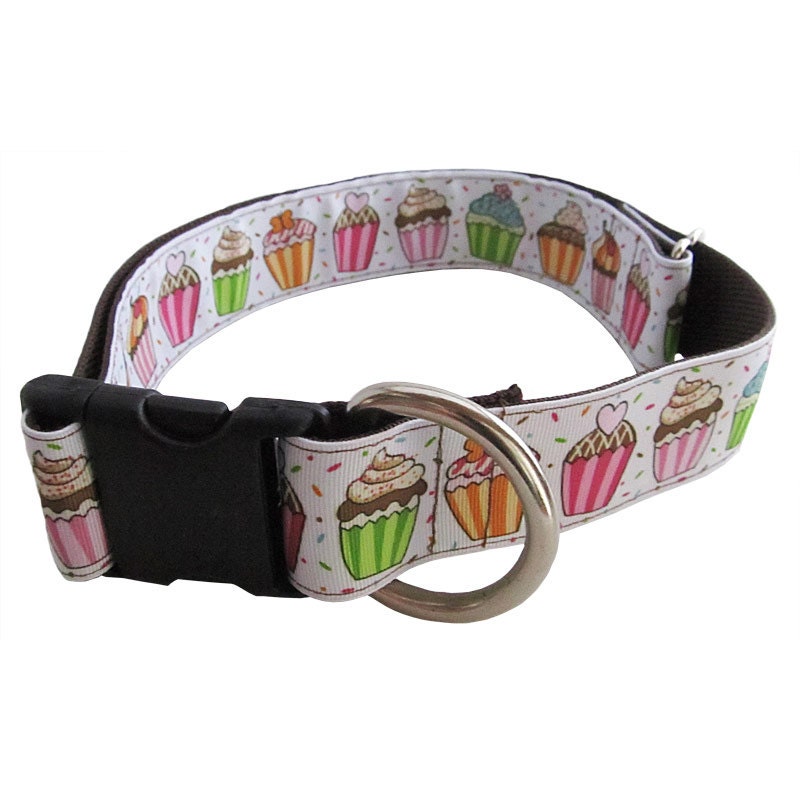 Extra Large Dog Collar