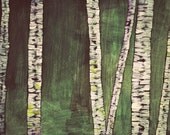 birches, large fine art print, 11'' x 14'' or A3, with epson pigment ink ohn hahnemuehle fine art matte paper