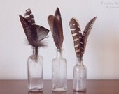 Feather collection in vintage bottles. - featherandmoss