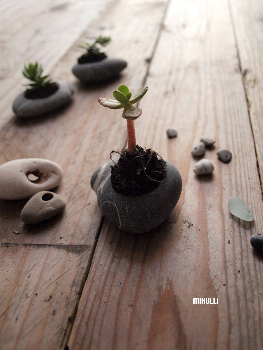 sea pebble home decor beach house inspiration - nature design flower planter - miniature