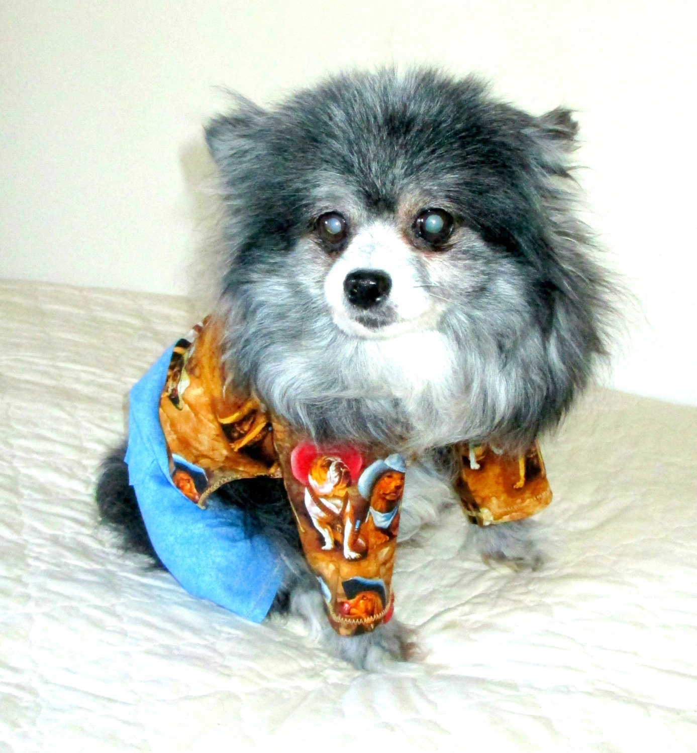 Small Dog's Cowboy Shirt & Stonewashed Jeans One-piece Cotton Shih Tzu