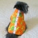 Small Dogs' Dress - Cotton Bright Orange, Olive & Lime Green Zinnia Print Toy Poodle