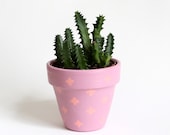 Cactus planter, pastel planter, small plant pot with pattern