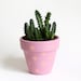 Cactus planter, pastel planter, small plant pot with pattern