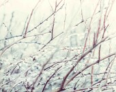 Fine Art Photographic Natural Print. Minimalist simple style. Natural Home Decor. Ice. Frozen. Fine Art Photography 8x10 print