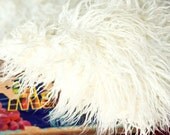 Mongolian Faux Fur Curly off White - Photography Prop - Newborn/baby Photography Prop - Longer Length, Ready to ship