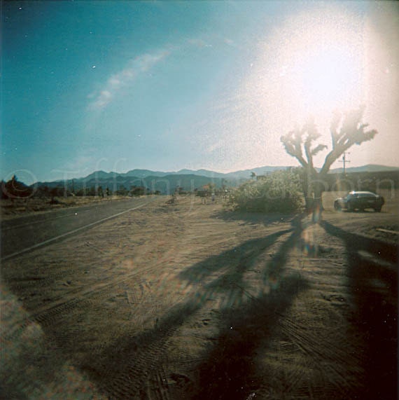Dust in the Wind - Pioneertown, California - joshua tree - Pappy & Harriett's - Holga - 5x5 square matte print
