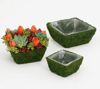 Moss Planter Basket - Set of 3 Great for Succulents Wedding Centerpieces