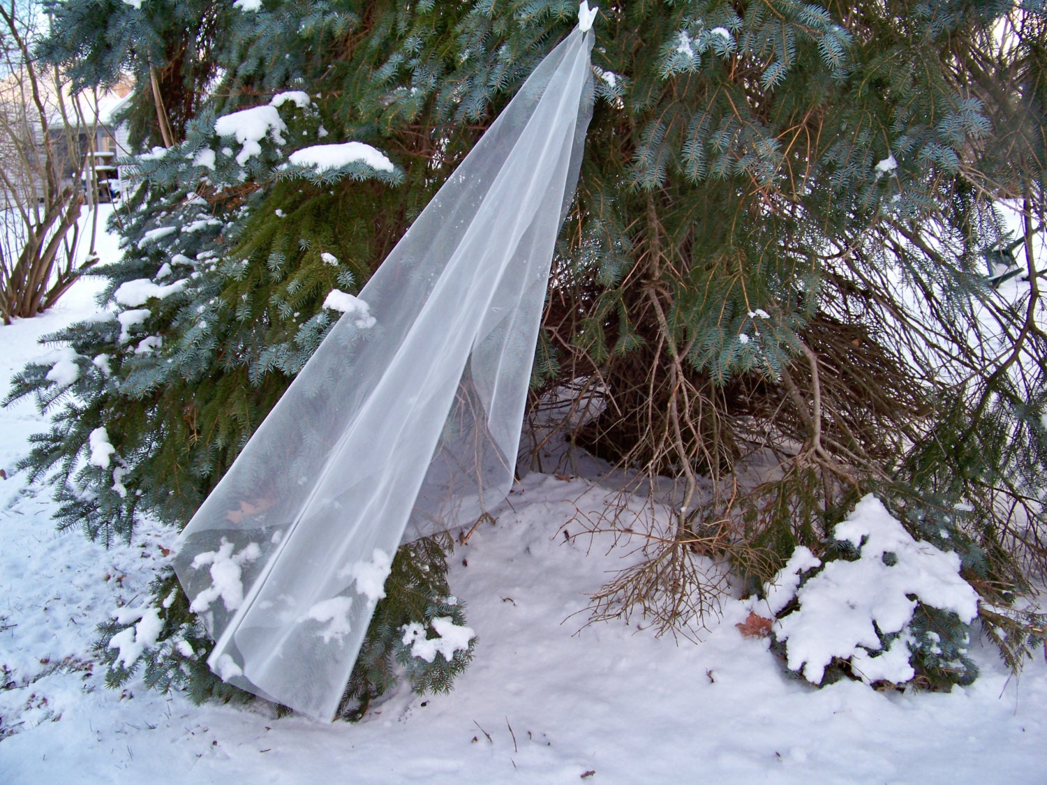 Custom Fingertip Length Mantilla Veil Cut Edge Illusion
