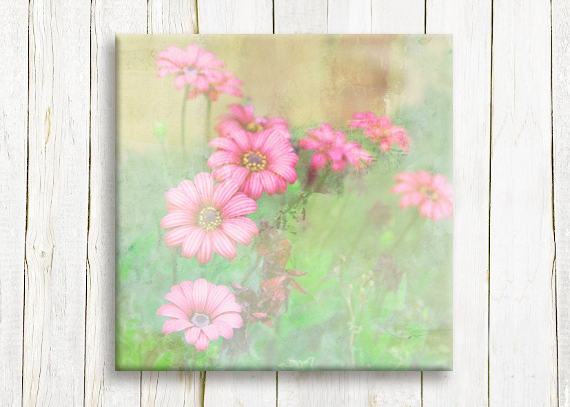 Pink daisies,  Framed art, 12"/12", free shipping - OneDesign4U