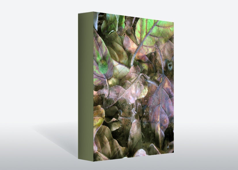 Nature art, print on canvas, 12"/12" , ready to hang, free shipping