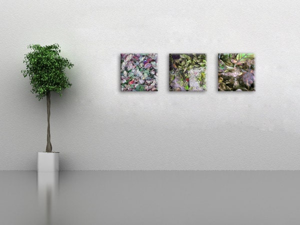 Nature art, print on canvas, 12"/12" , ready to hang, free shipping