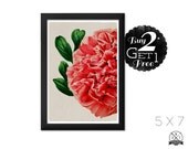 Beautiful Close Up, 5X7 Vintage Flower Print, Art Print and Home Decor, Buy 2 Get 1 Free