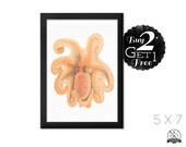 Orange Octo, 5X7 Vintage Print, Art Print and Home Decor, Buy 2 Get 1 Free