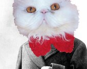 Cat Bow Tie Postcard - Russian Mathematician