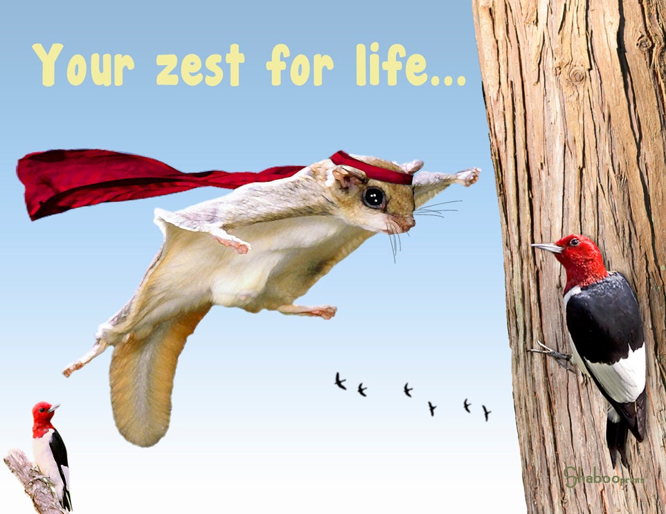 Funny Flying Squirrel Thinking Of You Card: Amazing You