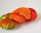 Superwash Merino/ Silk 378 yards/ 115 g - Revelry