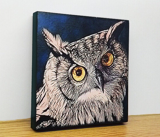 6x6 mounted print - "Inquisitive Owl" original art block by Bryan Gosselin