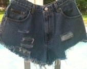 Distressed Shorts Size 27 Waist