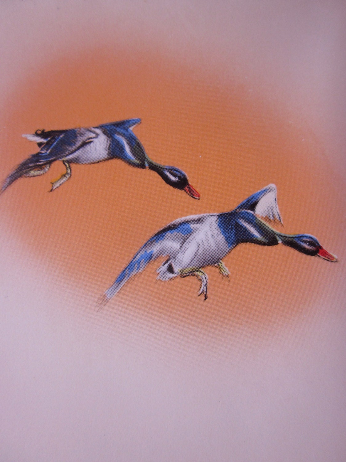 Vintage Unused Father's Day Greeting Card Wishing Happy Days to One Swell Dad with Flying Mallard Ducks Design by Rust Craft Boston, USA