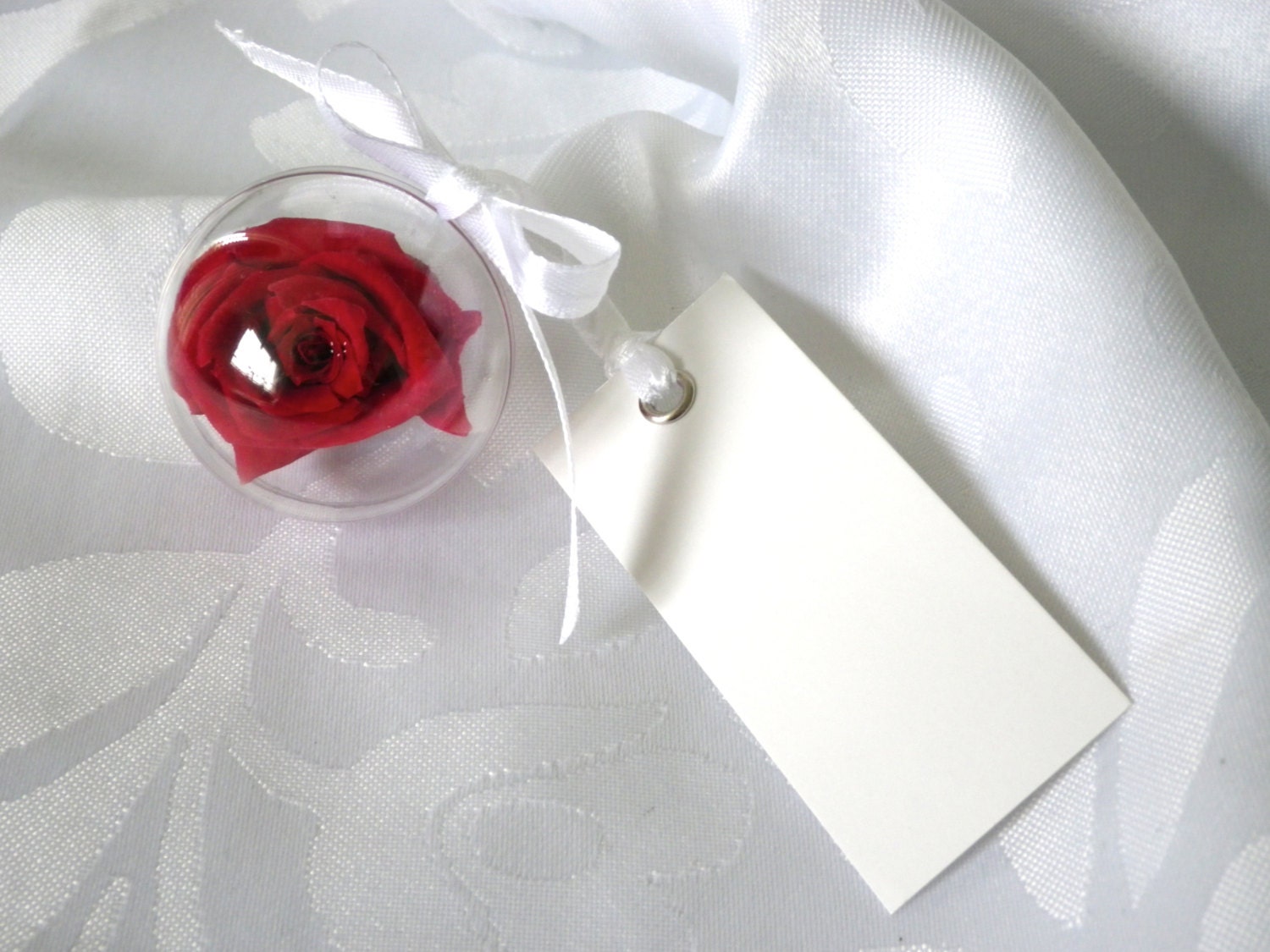 Bear name " My red Rose " for Marriage