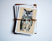 Owl greeting cards - Set of three
