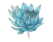 Blue Flower Art Drawing 8x10" Print Unframed