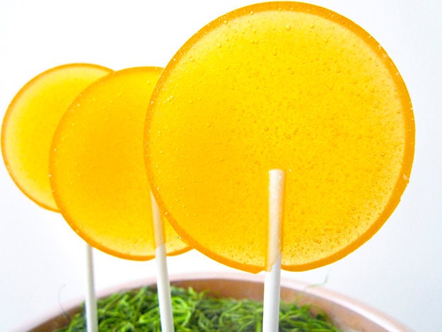 Apple Ginger Champagne Spritzer Gourmet Lollipops - Set of 7 - LARGE 2.5 Inch - Luxe Lollies