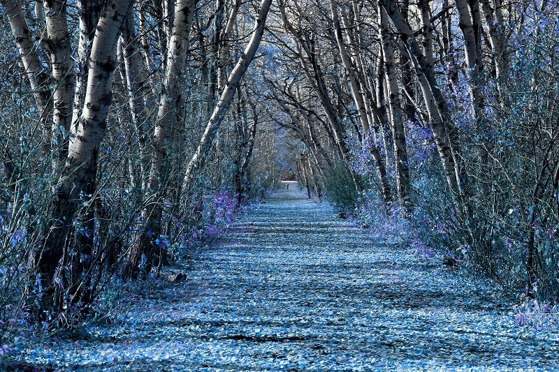 To Somewhere Art Photo Print