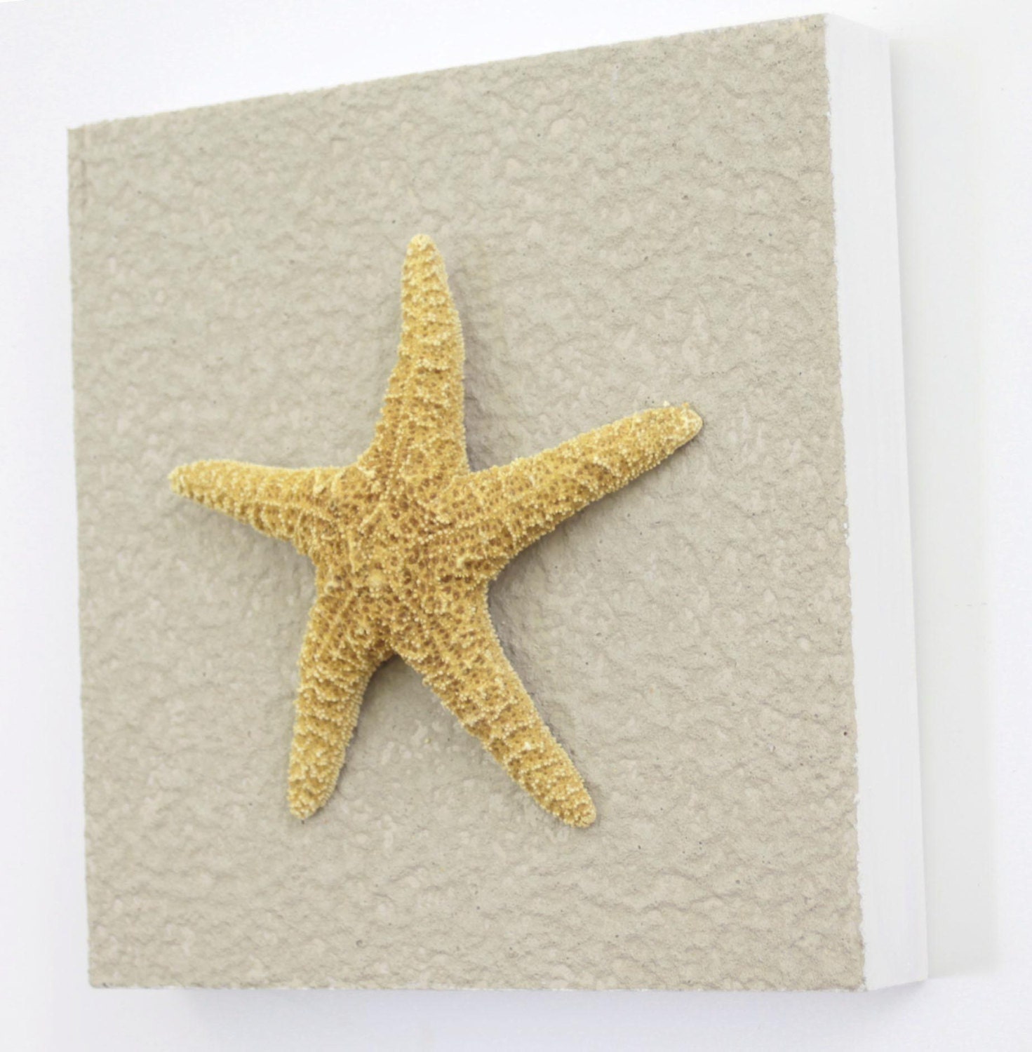 Beach Decor on Driftwood Panel for Coastal Wall Decor Sugar Starfish
