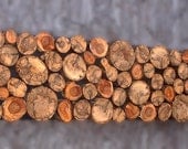 MADE TO ORDER 12x72 Rustic Tree Branch Wall Art Tribal Spalted Maple Spalted Aspen Wall Sculpture