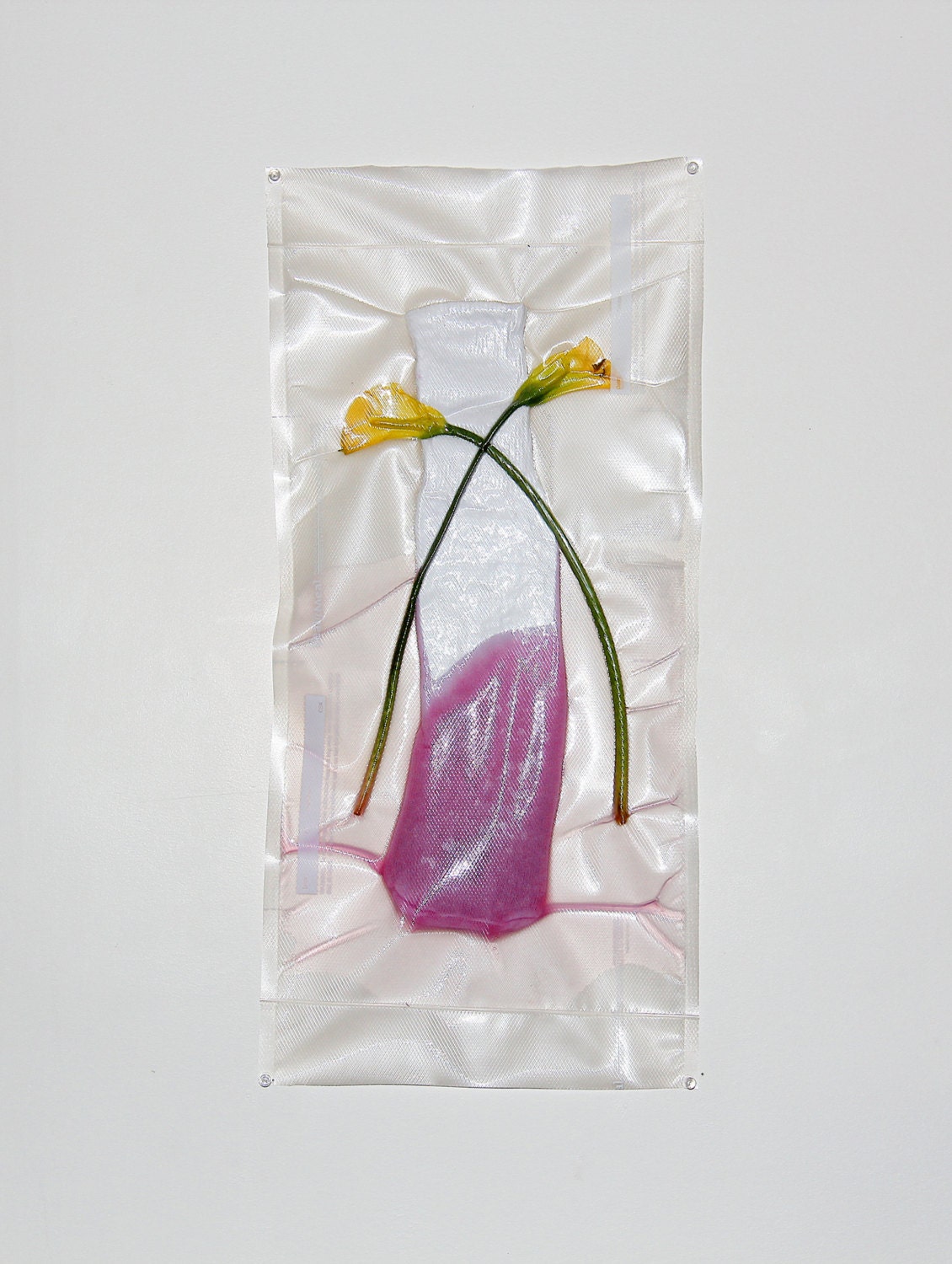 vacuum sealed Organic Petunia SHAMPOO in blooper sock with Whole Foods FLOWERS (Exquisite Formalism for creative minding)