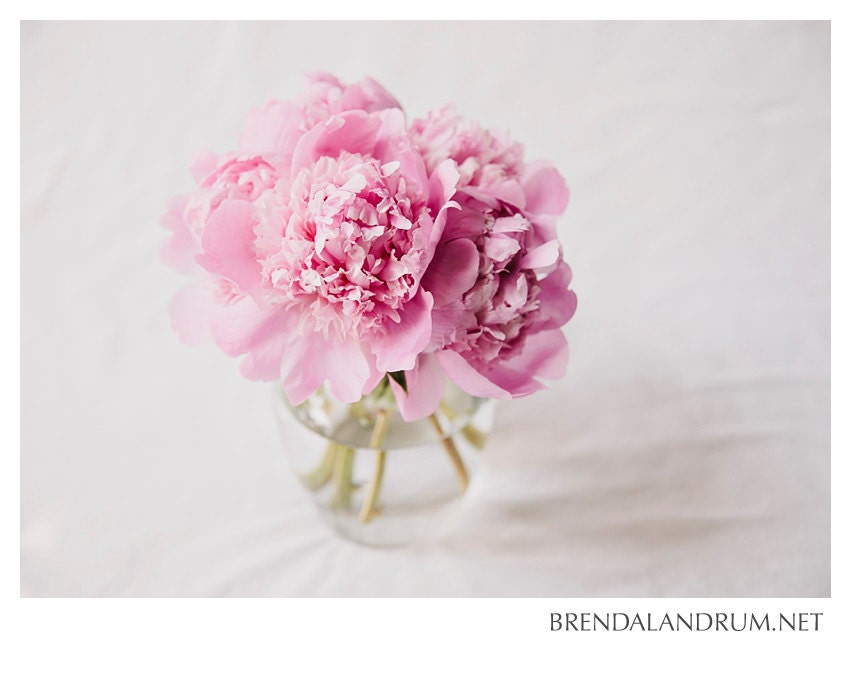 Pink Peony Bouquet in Glass Vase -- Floral Photography, Fine Art Print, 5x7 Mounted Metallic Print, Home Decor, Nursery Decor, Pink, White