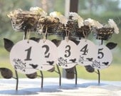 Table Number Holders - Bird's Nest Table Decoration