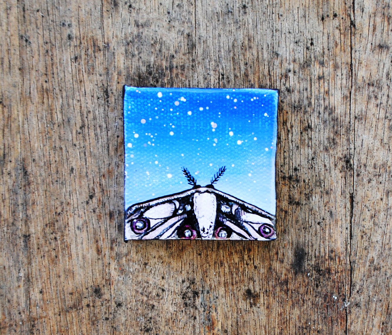 Moth Galaxy  -  Tiny Art.  Oil Painting.  Original.