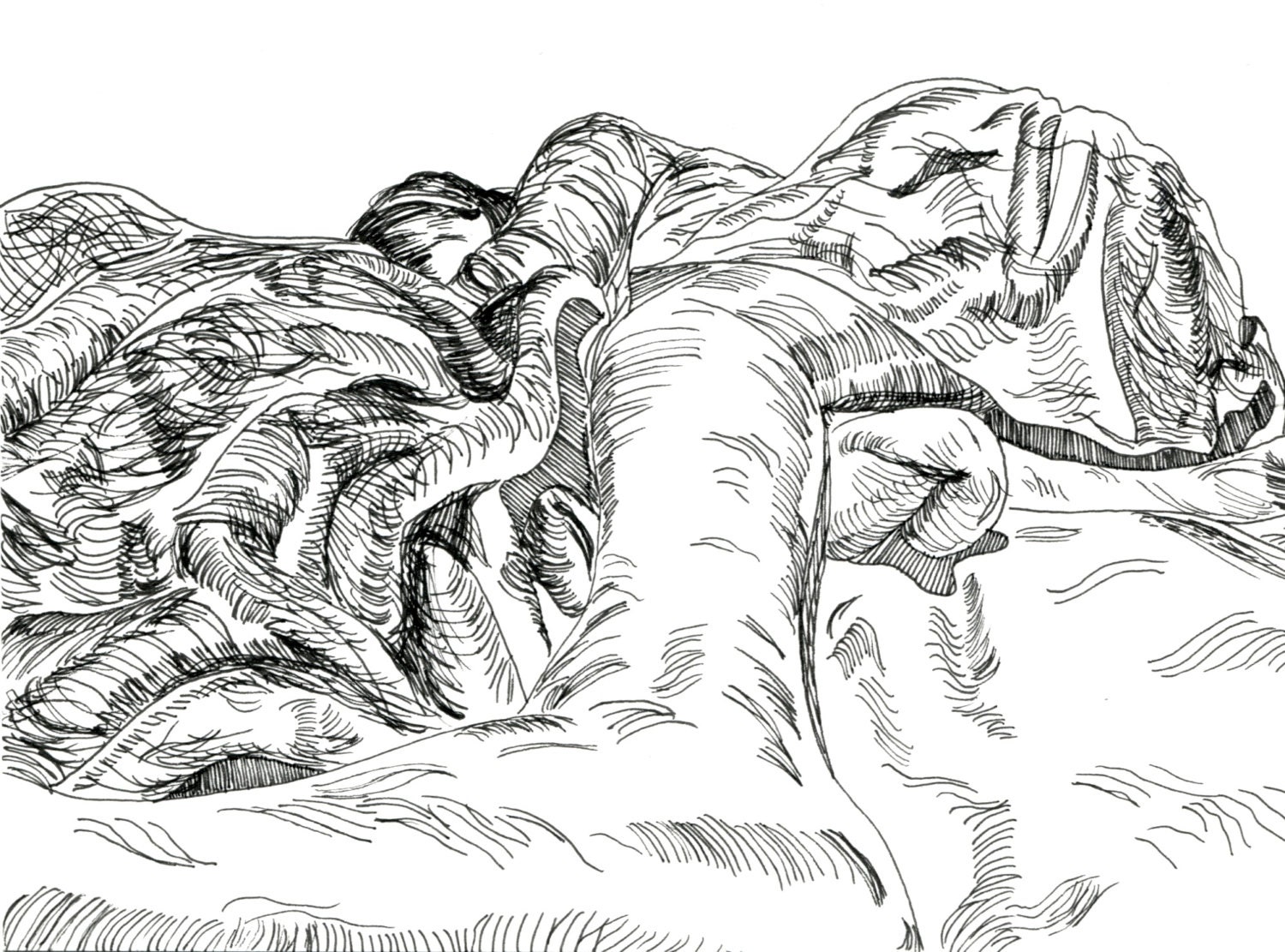 Blankets illustration, drawing, gift, print, pen, ink