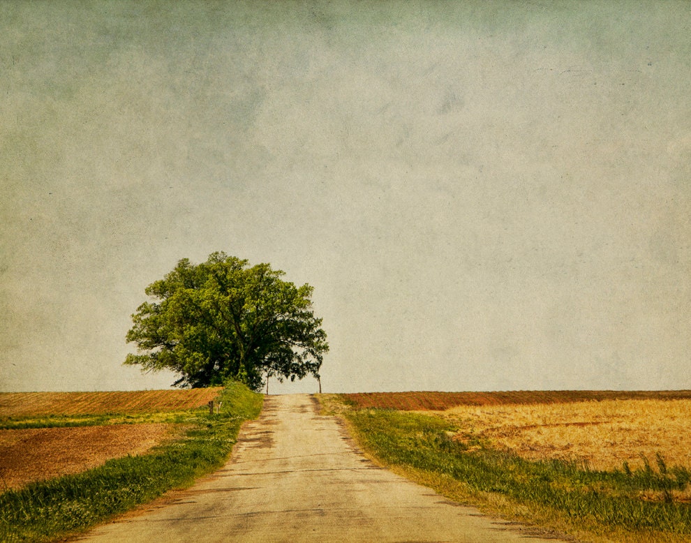 11x14  Print of  A Drive in the Country