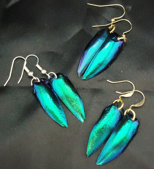 Iridescent Green, Blue, and Purple Beetle Wing Earrings