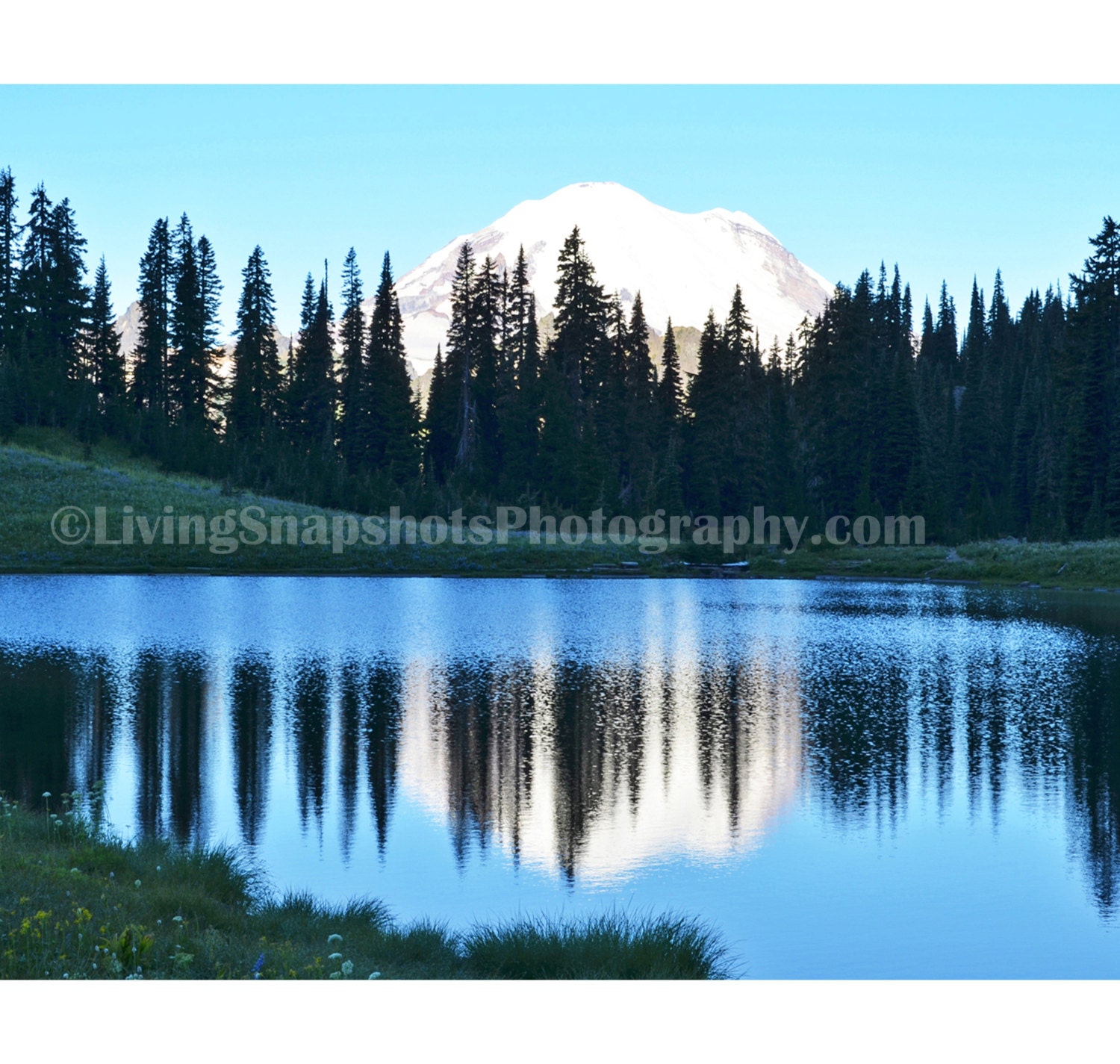 8x10 photograph of Mt Rainier WA, print, travel photography, white background, UNframed