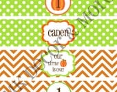 Personalized Pumpkin Theme Water Bottle Labels - Printable - Digital File - Birthday Decorations - DIY