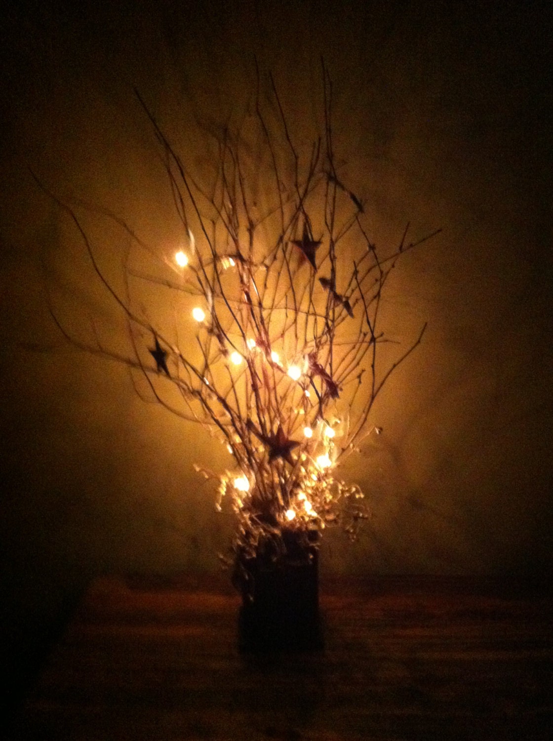 Lighted Twig Box (SALE)