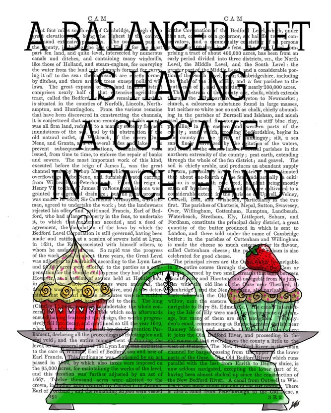 A Balanced Diet Cupcake Print Original Illustration Giclee Print Digital Art Inspirational Quote humor wall art wall decor Wall hanging