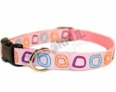 Purple Doodle Square Swirls Blue/Orange/Pink Medium Nylon Adjustable Buckle Dog Collar