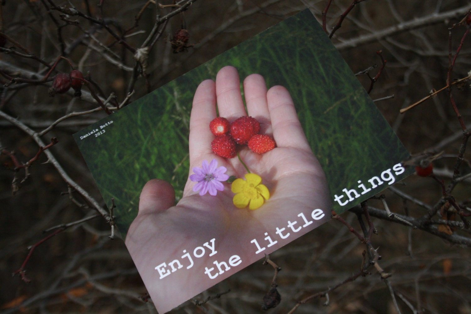 Inspiration Card- Printed Photograph "Enjoy the little things"