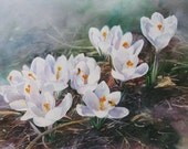 Wecome To Spring - An Original Watercolor - PaintedBranchStudio