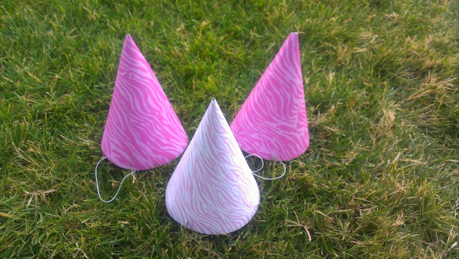 Pink Zebra Party Hat