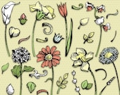 A Hundred Flowers Vector Graphics Set - Personal and Commercial Use